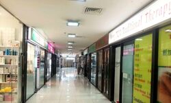Orchard Plaza (D9), Retail #471639701